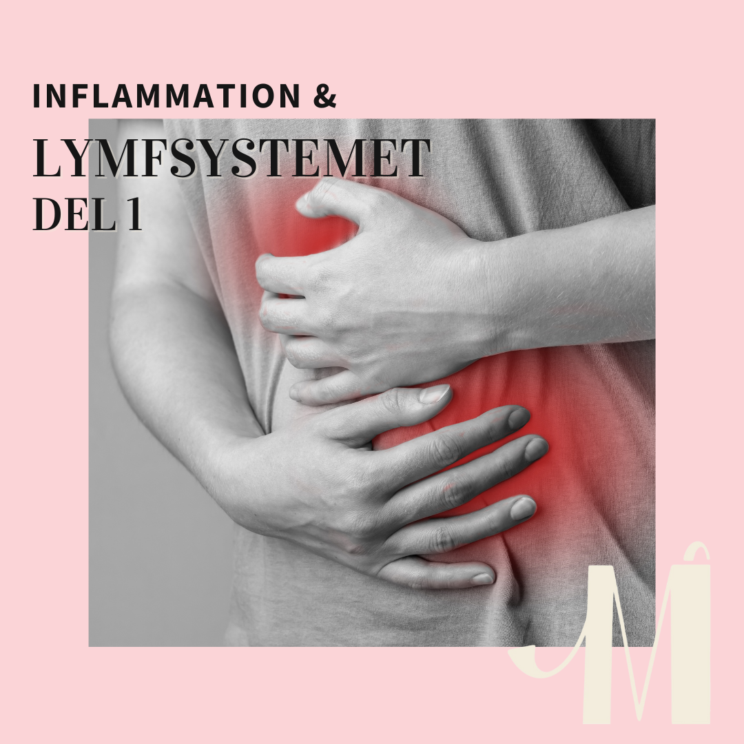 Inflammation och lymfsystemet, del 1