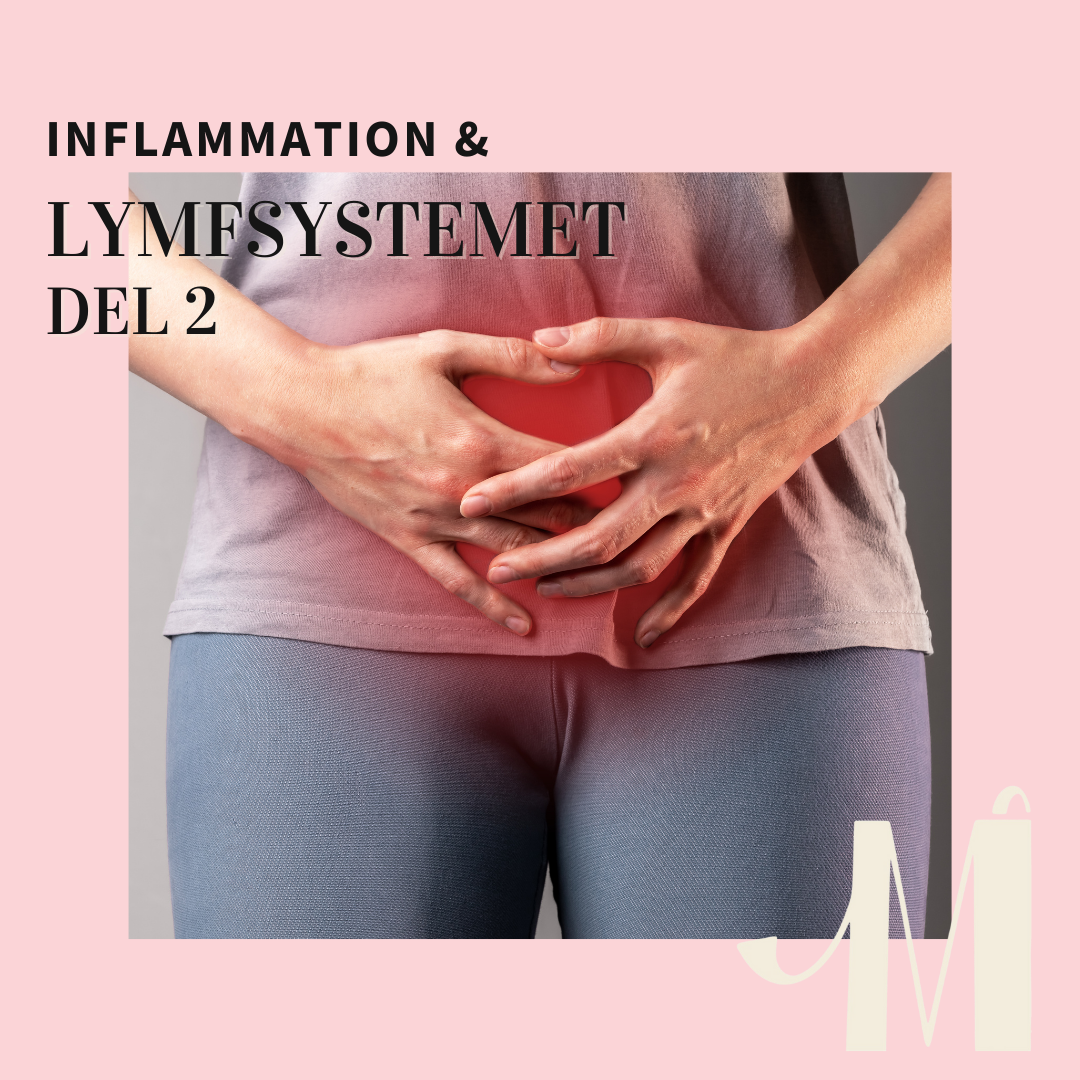 Inflammation och lymfsystemet, del 2 - orsaker till inflammation